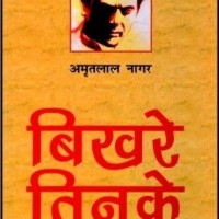 Bikhare tinke  (Hindi, Hardcover, Amritlal Nagar)