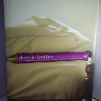 Electric Feather The Tranquebar Book Of Erotic Stories by Ruchir Joshi