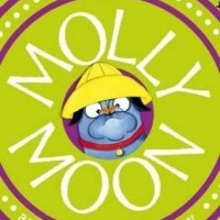 Molly Moon and the Morphing Mystery by GEORGIA BYNG