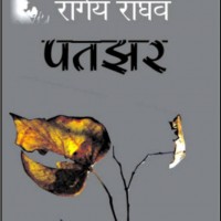 Pataghhar  (Hindi, Hardcover, Rangey Raghav)