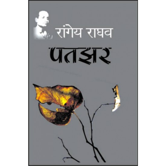 Pataghhar  (Hindi, Hardcover, Rangey Raghav)