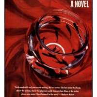 The Geometry Of God: A Novel by Uzma Aslam Khan The Geometry Of God: A Novel by Uzma Aslam Khan