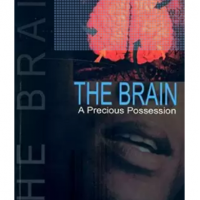 The Brain A Precious Possession by GOPINATH