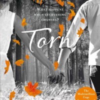 Torn By Hocking Amanda