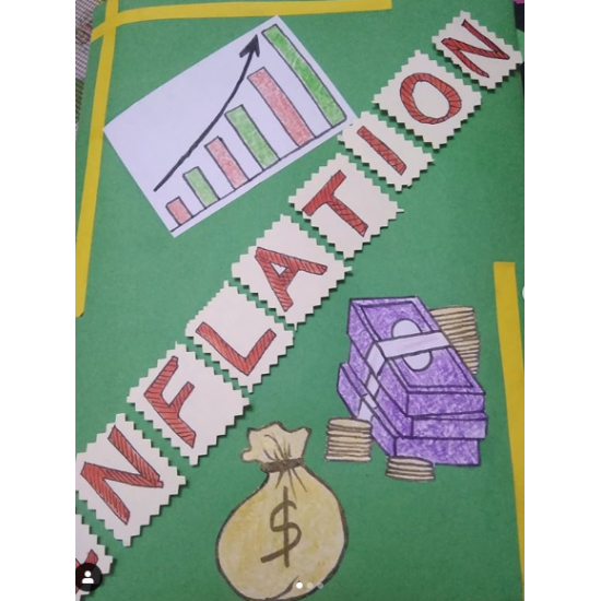 Economics Class 12 Project 