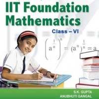 A Compact and Comprenensive Book of Lit Foudation Mathematic by Gupta S. K